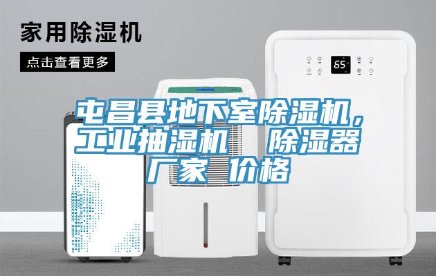 屯昌縣地下室除濕機(jī)，工業(yè)抽濕機(jī)  除濕器廠家 價(jià)格