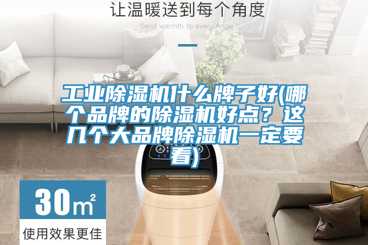 工業(yè)除濕機(jī)什么牌子好(哪個品牌的除濕機(jī)好點？這幾個大品牌除濕機(jī)一定要看)
