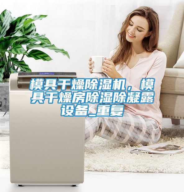 模具干燥除濕機，模具干燥房除濕除凝露設(shè)備_重復(fù)