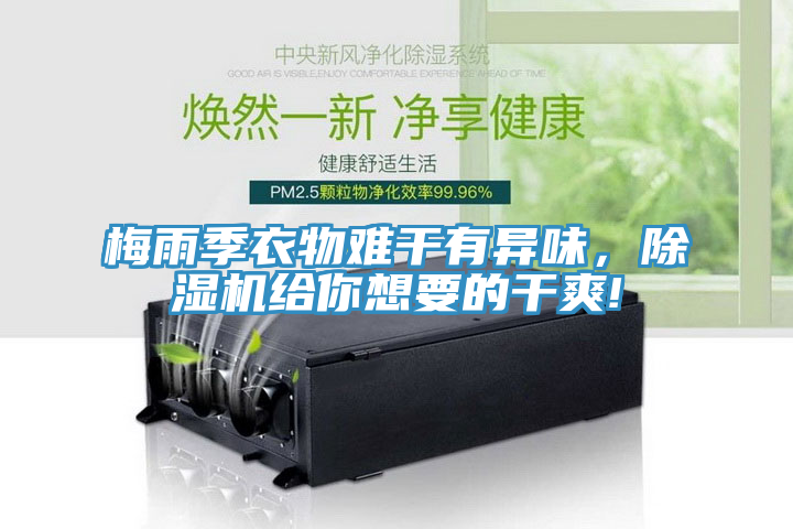 梅雨季衣物難干有異味，除濕機給你想要的干爽!