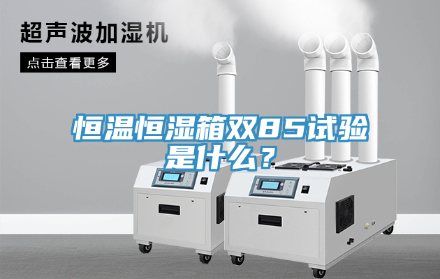 恒溫恒濕箱雙85試驗(yàn)是什么？