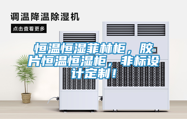 恒溫恒濕菲林柜，膠片恒溫恒濕柜，非標設(shè)計定制！