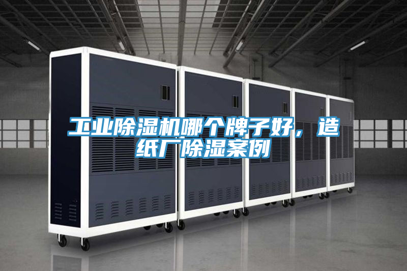 工業(yè)除濕機哪個牌子好，造紙廠除濕案例
