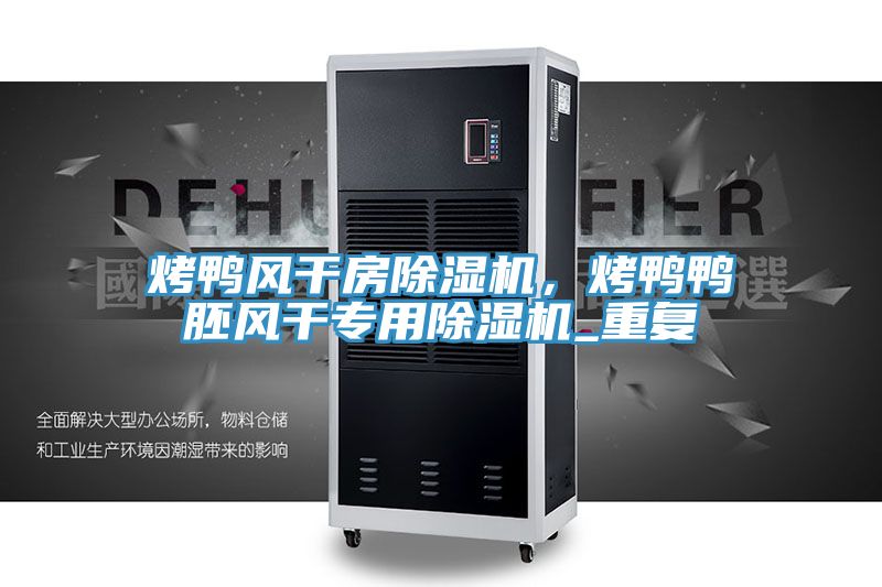 烤鴨風(fēng)干房除濕機(jī)，烤鴨鴨胚風(fēng)干專用除濕機(jī)_重復(fù)