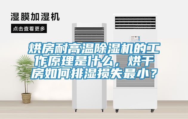 烘房耐高溫除濕機的工作原理是什么，烘干房如何排濕損失最?。?></div>
								<div   id=