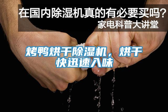 烤鴨烘干除濕機(jī)，烘干快迅速入味