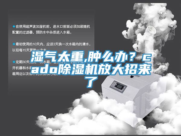 濕氣太重,腫么辦？cado除濕機放大招來了