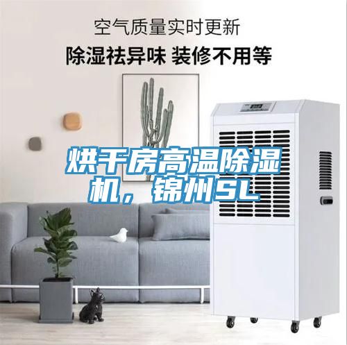 烘干房高溫除濕機(jī)，錦州SL