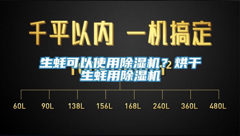 生蠔可以使用除濕機？烘干生蠔用除濕機