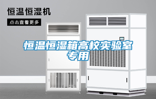 恒溫恒濕箱高校實(shí)驗(yàn)室專(zhuān)用