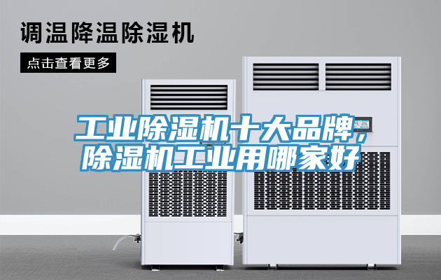 工業(yè)除濕機(jī)十大品牌，除濕機(jī)工業(yè)用哪家好