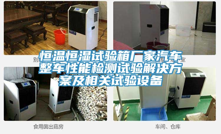 恒溫恒濕試驗(yàn)箱廠家汽車整車性能檢測試驗(yàn)解決方案及相關(guān)試驗(yàn)設(shè)備