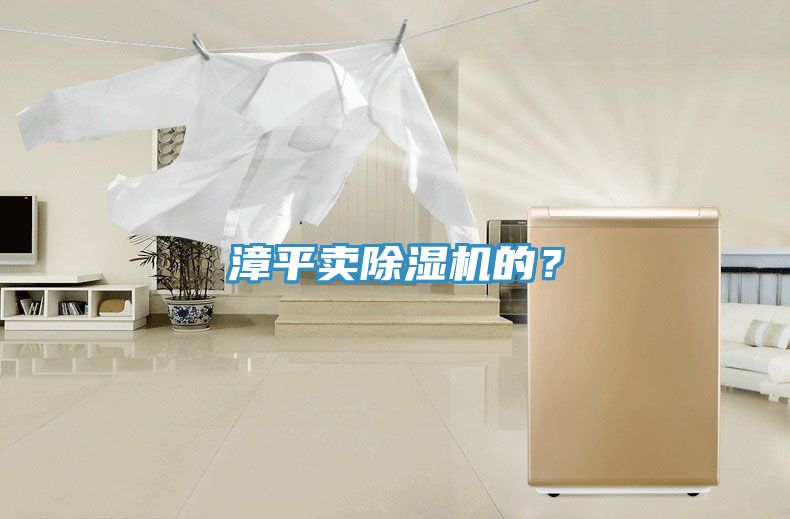 漳平賣除濕機的？