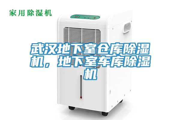 武漢地下室倉(cāng)庫(kù)除濕機(jī)，地下室車庫(kù)除濕機(jī)