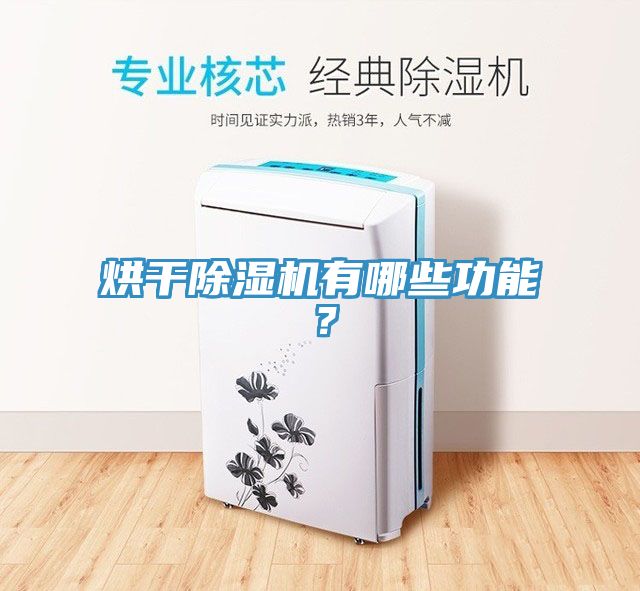 烘干除濕機有哪些功能？