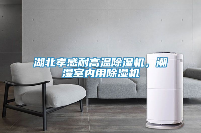 湖北孝感耐高溫除濕機(jī)，潮濕室內(nèi)用除濕機(jī)