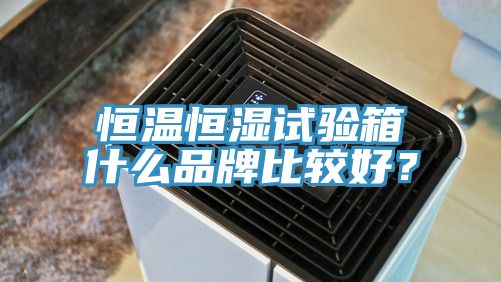 恒溫恒濕試驗箱什么品牌比較好？