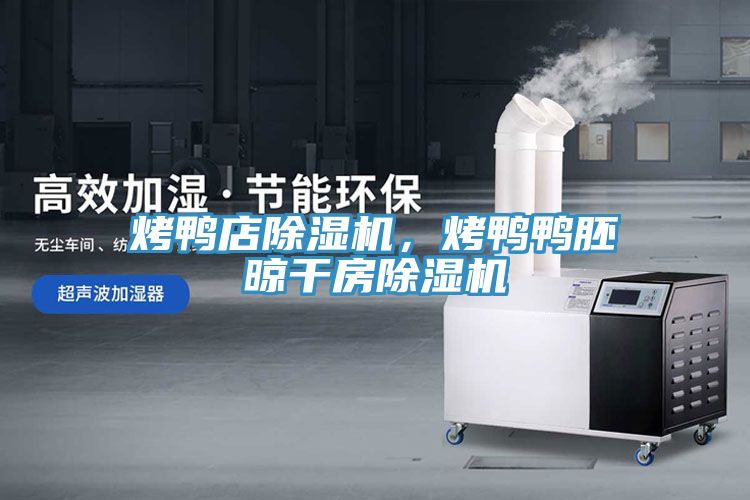 烤鴨店除濕機(jī)，烤鴨鴨胚晾干房除濕機(jī)
