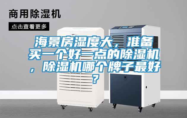 海景房濕度大，準備買一個好一點的除濕機，除濕機哪個牌子最好？