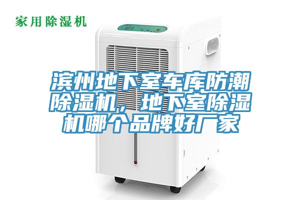 濱州地下室車庫防潮除濕機，地下室除濕機哪個品牌好廠家