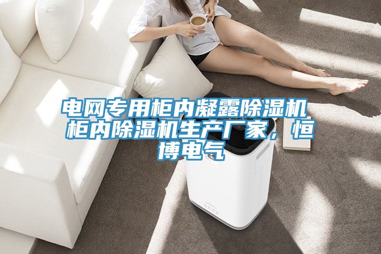 電網(wǎng)專用柜內(nèi)凝露除濕機(jī) 柜內(nèi)除濕機(jī)生產(chǎn)廠家，恒博電氣
