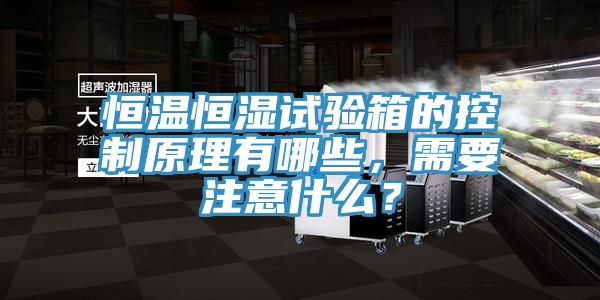 恒溫恒濕試驗(yàn)箱的控制原理有哪些，需要注意什么？