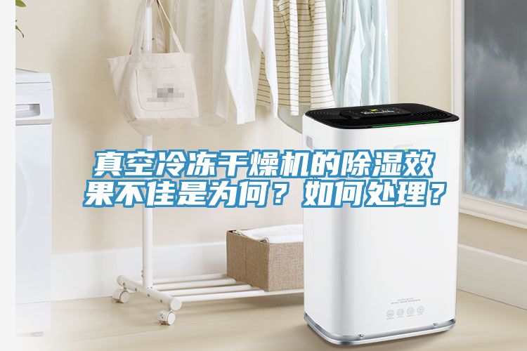 真空冷凍干燥機的除濕效果不佳是為何？如何處理？