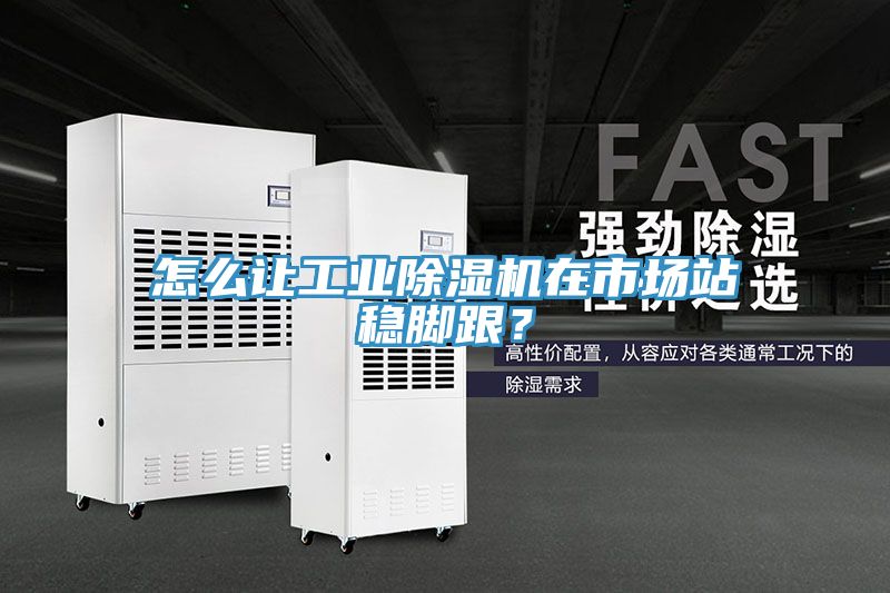 怎么讓工業(yè)除濕機(jī)在市場(chǎng)站穩(wěn)腳跟？