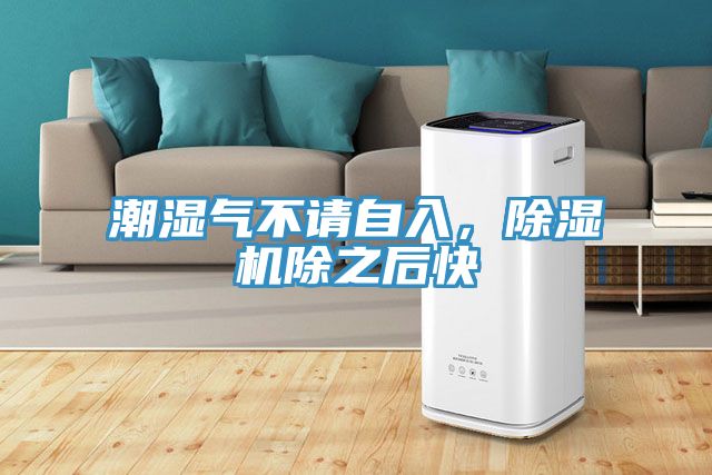 潮濕氣不請(qǐng)自入，除濕機(jī)除之后快