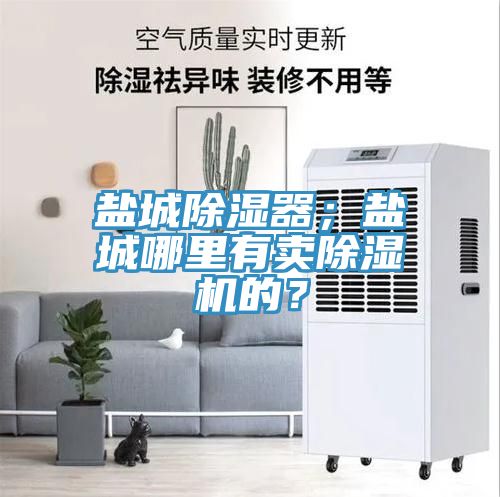 鹽城除濕器；鹽城哪里有賣(mài)除濕機(jī)的？