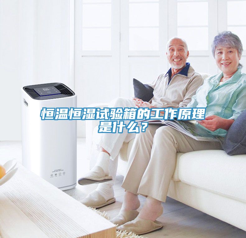 恒溫恒濕試驗(yàn)箱的工作原理是什么？