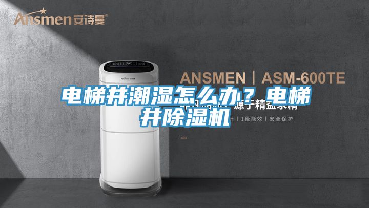 電梯井潮濕怎么辦？電梯井除濕機(jī)