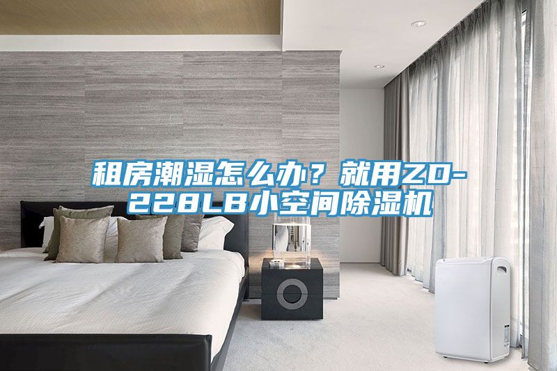 租房潮濕怎么辦？就用ZD-228LB小空間除濕機(jī)