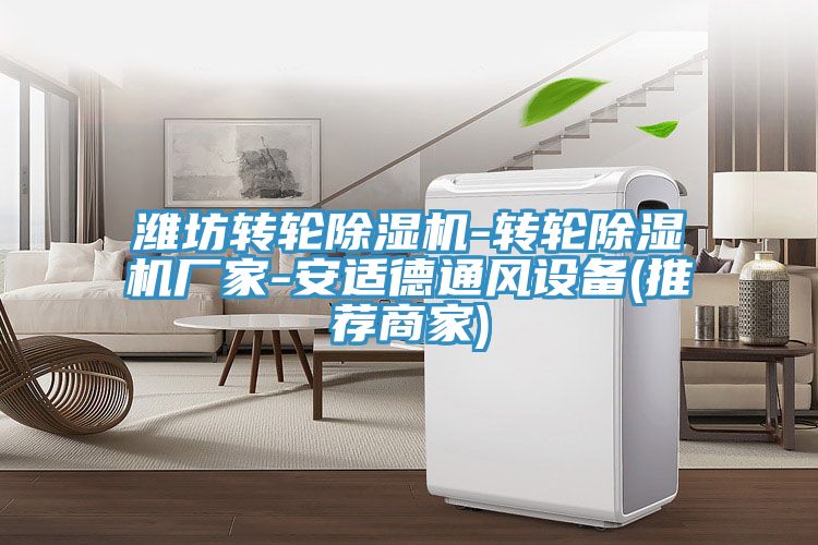濰坊轉(zhuǎn)輪除濕機-轉(zhuǎn)輪除濕機廠家-安適德通風(fēng)設(shè)備(推薦商家)