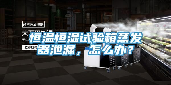 恒溫恒濕試驗(yàn)箱蒸發(fā)器泄漏，怎么辦？