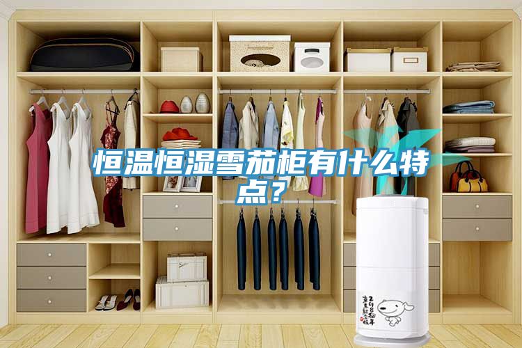恒溫恒濕雪茄柜有什么特點？