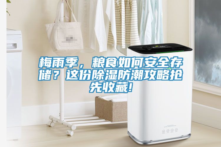 梅雨季，糧食如何安全存儲？這份除濕防潮攻略搶先收藏!