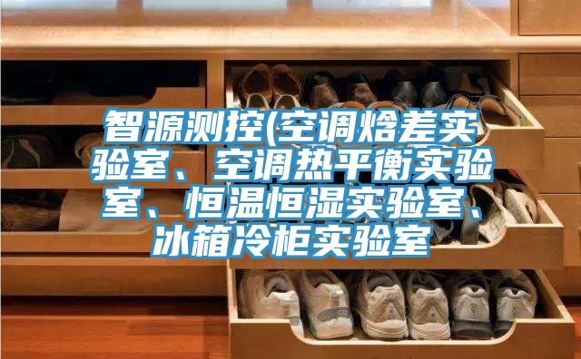 智源測(cè)控(空調(diào)焓差實(shí)驗(yàn)室、空調(diào)熱平衡實(shí)驗(yàn)室、恒溫恒濕實(shí)驗(yàn)室、冰箱冷柜實(shí)驗(yàn)室