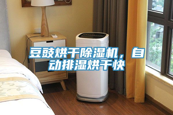 豆豉烘干除濕機(jī)，自動排濕烘干快