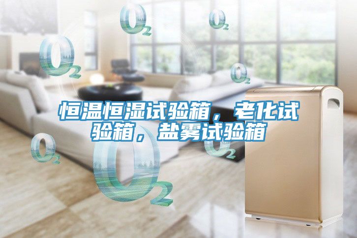 恒溫恒濕試驗箱，老化試驗箱，鹽霧試驗箱