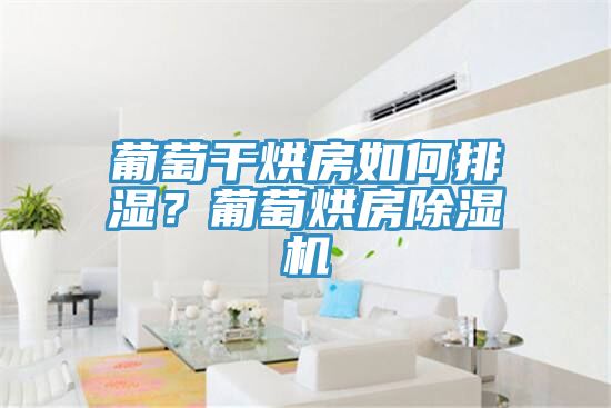 葡萄干烘房如何排濕？葡萄烘房除濕機(jī)