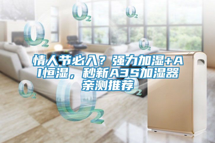 情人節(jié)必入？強(qiáng)力加濕+AI恒濕，秒新A3S加濕器親測(cè)推薦