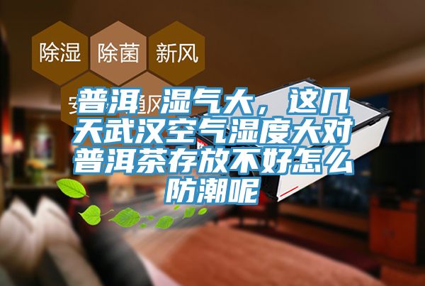 普洱 濕氣大，這幾天武漢空氣濕度大對普洱茶存放不好怎么防潮呢