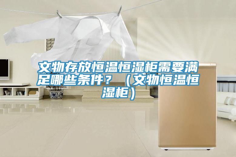 文物存放恒溫恒濕柜需要滿足哪些條件？（文物恒溫恒濕柜）