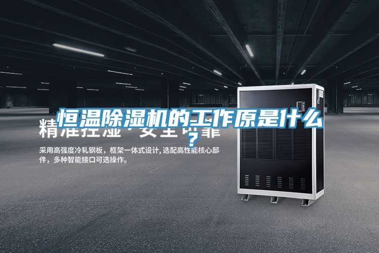 恒溫除濕機的工作原是什么？