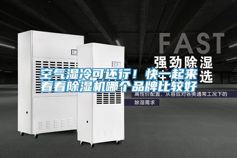 空氣濕冷可還行！快一起來看看除濕機哪個品牌比較好