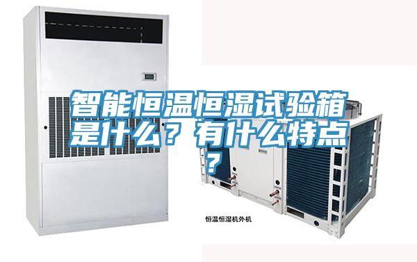 智能恒溫恒濕試驗箱是什么？有什么特點？