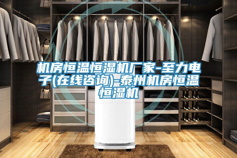 機(jī)房恒溫恒濕機(jī)廠家-至力電子(在線咨詢(xún))-泰州機(jī)房恒溫恒濕機(jī)
