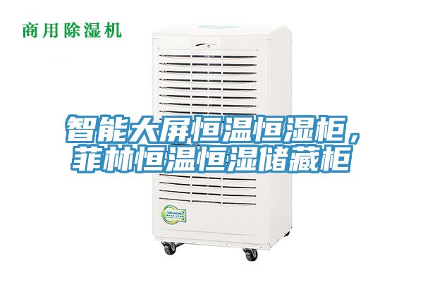 智能大屏恒溫恒濕柜，菲林恒溫恒濕儲(chǔ)藏柜