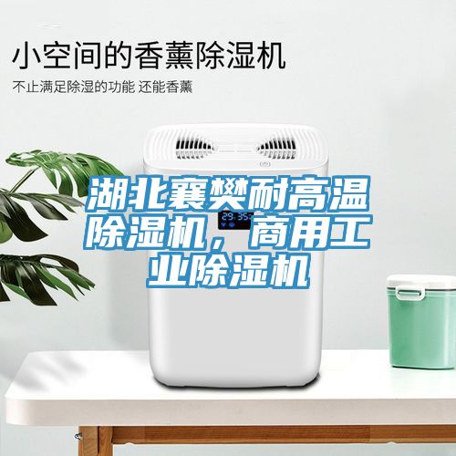 湖北襄樊耐高溫除濕機(jī)，商用工業(yè)除濕機(jī)